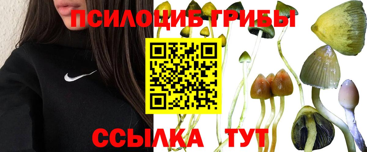 Волхов  Галлюциногенные грибы мухоморы  Вход с VPN 